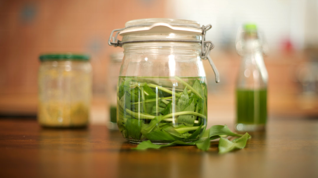 Fermentierte Bärlauchblätter